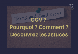 Lire la suite à propos de l’article Découvrez qu’est ce que les CGV et vos obligations !