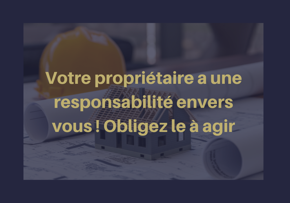 Lire la suite à propos de l’article La Responsabilité du Bailleur s’il ne réalise pas les travaux obligatoires